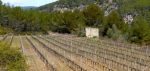 BarcelonaWalking vinyes a Foix