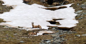 Excursio Pirineus_4