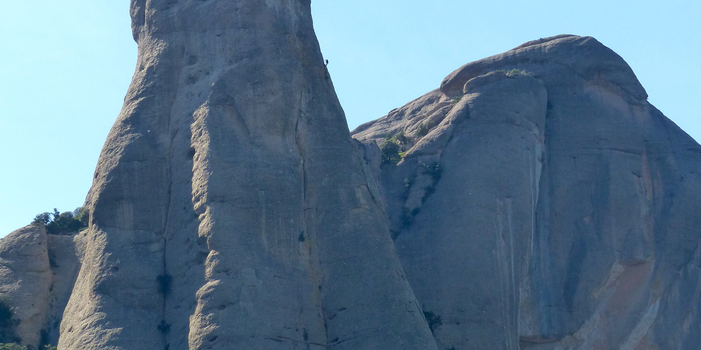 Caval Bernat in Montserrat