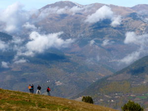 Pyrenees