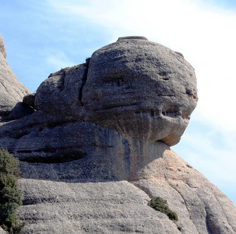 Dead-Head Montserrat