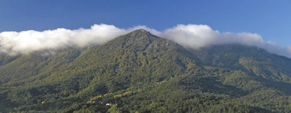 Witches of Montseny